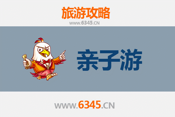 威海环翠亲子游攻略：带娃畅享海滨乐趣与自然探索